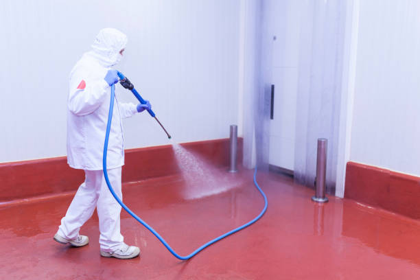 Best Winterizing Services  in Kitty Hawk, NC